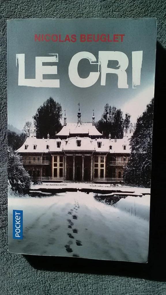 „De schreeuw” Nicolas Beuglet (2016), Boeken, Thrillers, Zo goed als nieuw, Europa overig, Ophalen of Verzenden