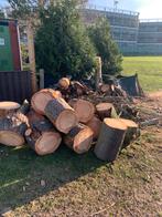 Brandhout ceder, Bricolage & Construction, Bois & Planches, 250 à 300 cm, Autres essences de bois, Enlèvement, Utilisé