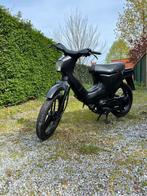 Honda Wallaroo 50cc, 0 vitesses, 50 cm³, Enlèvement, Classe A (25 km/h)