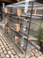 Konijnen kooien, Dieren en Toebehoren, Knaagdieren en Konijnen | Hokken en Kooien, Hamster, 110 cm of meer, Nieuw, Ophalen of Verzenden