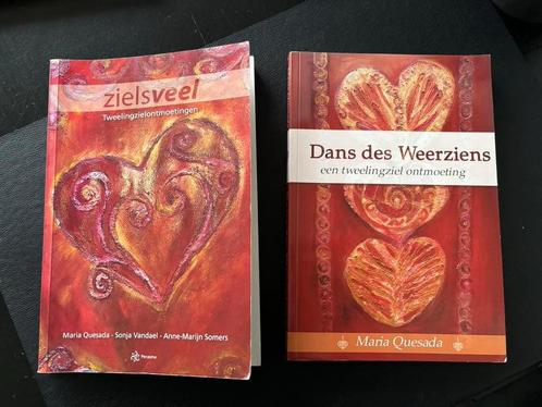 Maria Quesada - Zielsveel & Dans des weerziens, Boeken, Literatuur, Gelezen, Ophalen of Verzenden