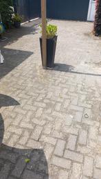 Betonklinkers 120m2, Tuin en Terras, Ophalen, Gebruikt, Klinkers, 10 m² of meer