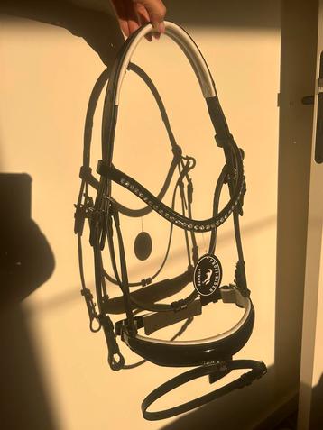 Hoofdstel Profi-rider Cob beschikbaar voor biedingen