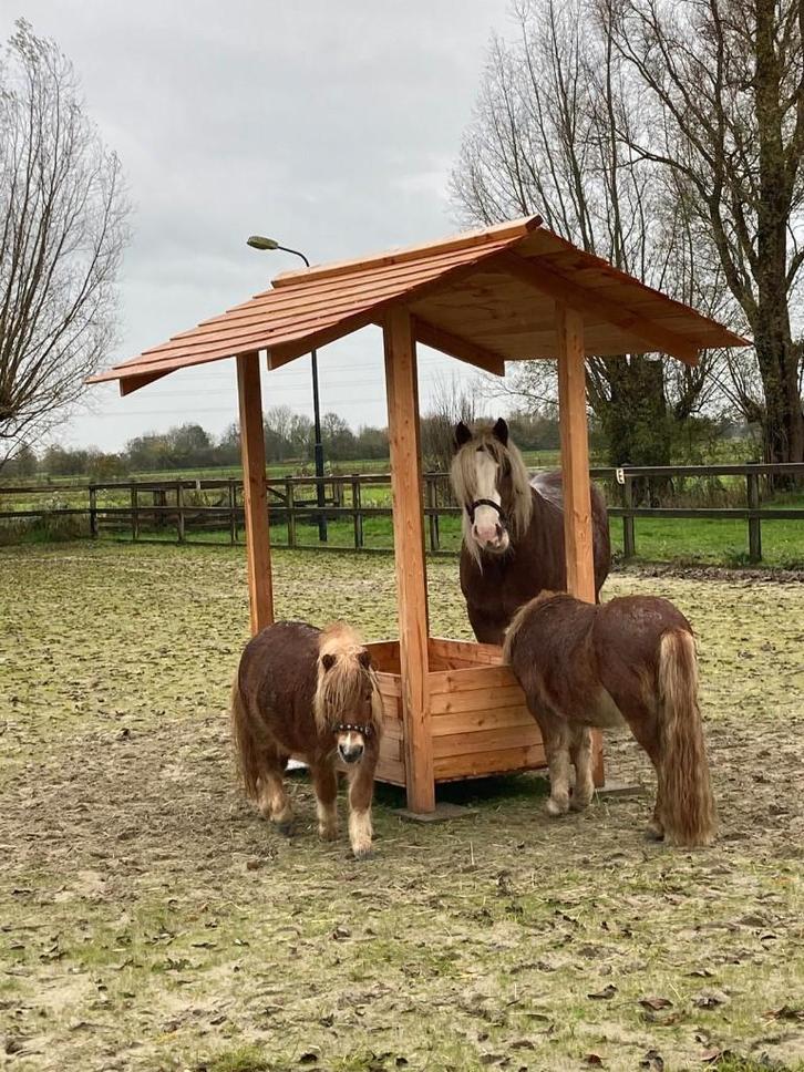 hooiruif PAARD evt met sloowfeeder, Animaux & Accessoires, Box & Pâturages