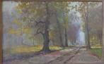 HENRI-JOSEPH PAUWELS / BOSDREEF / OLIEVERF DOEK / 71x106cm, Antiek en Kunst, Kunst | Schilderijen | Klassiek, Ophalen