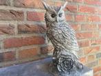 Uil 30cm hoog, Tuin en Terras, Ophalen, Nieuw, Beton, Dierenbeeld