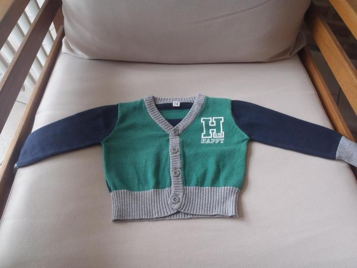 vest maat 74, Kinderen en Baby's, Babykleding | Maat 74, Gebruikt, Jongetje, Overige typen, Ophalen of Verzenden