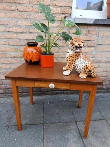 Prachtig plantentafeltje-bijzettafel beschikbaar voor biedingen
