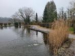 UNE EAU DE BAIN CRISTALLINE Sans ALGUES, C'EST POSSIBLE !!, Jardin & Terrasse, Étangs, Enlèvement ou Envoi, Neuf