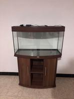 aquarium, Animaux & Accessoires, Enlèvement, Comme neuf