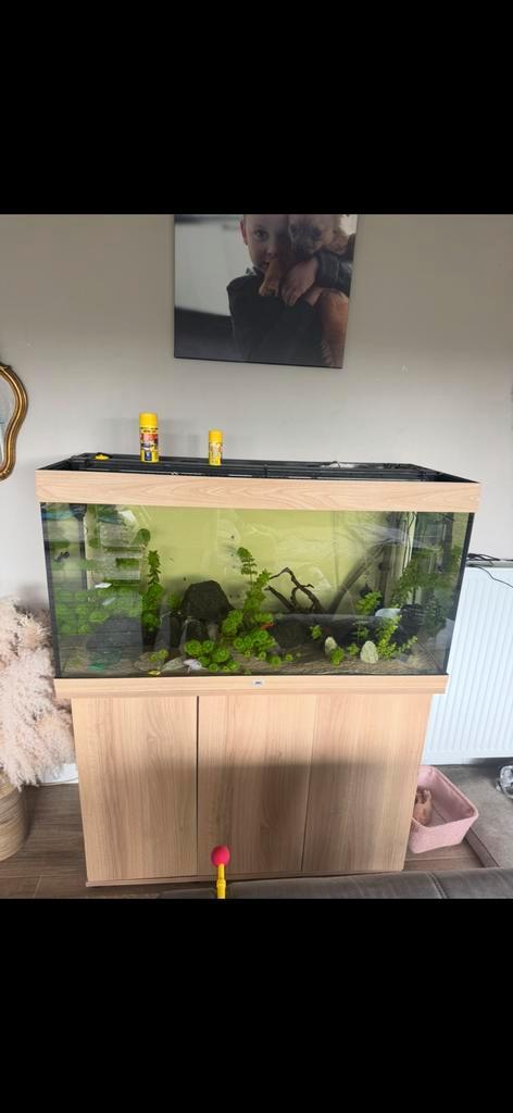 Juwel rio 450 met kast+4 pompen en CO2, Dieren en Toebehoren, Vissen | Aquaria en Toebehoren, Zo goed als nieuw, Ophalen