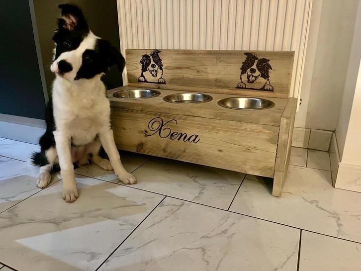 gepersonaliseerde eetbakken en hondenbedden, Dieren en Toebehoren, Honden-accessoires, Nieuw, Ophalen of Verzenden