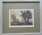 EDMOND VAN DOOREN / BOMEN IN LANDSCHAP / ZW-W ETS / 36x42cm, Antiek en Kunst, Kunst | Etsen en Gravures, Ophalen of Verzenden