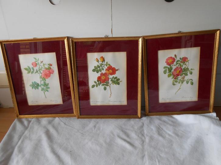3 vintage kaders met bloemen, Antiek en Kunst, Curiosa en Brocante, Ophalen of Verzenden