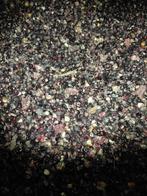 Zwarte mais op korrel, Dieren en Toebehoren, Ophalen, Vee