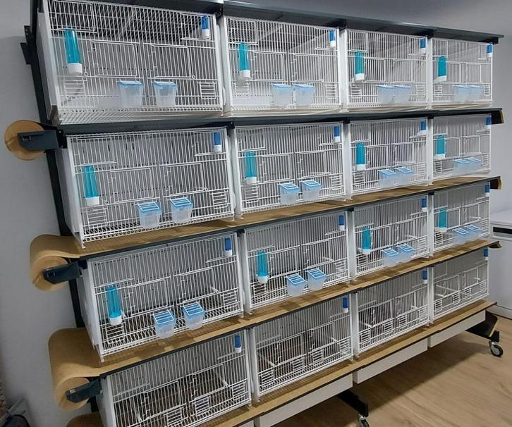 Terenziani CILEA 6040 draadkooien wand 28 stuks als nieuw, Dieren en Toebehoren, Vogels | Hokken en Kooien, Zo goed als nieuw