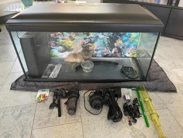 Aquarium avec accessoires disponible aux enchères