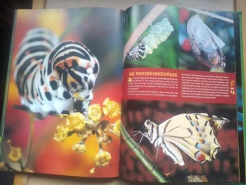 boek: de vier seizoenen/Béatrice Fontanel+Artiscoop 40, Boeken, Kinderboeken | Jeugd | onder 10 jaar, Zo goed als nieuw, Non-fictie