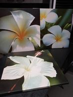 3 cadres impression sur toile orchidée blanche, Maison & Meubles