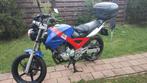 Honda moto cbf 250, Motoren, 250 cc, Particulier, Minimaal motorrijbewijs A2, 1 cilinder