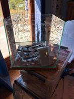 aquarium zolux bettakub, Ophalen, Zo goed als nieuw, Leeg aquarium