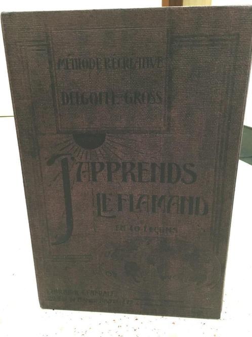J'apprends le Flamand en 40 leçons Delgoffe - Gross, Boeken, Studieboeken en Cursussen, Zo goed als nieuw, Ophalen of Verzenden