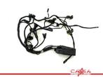 KABELBOOM MOTOR BMW R nineT 2016-2021 (K23), Gebruikt