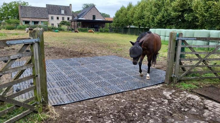 mudmodder paddock platen ideaal voor droge paddock 22,72 m2, Dieren en Toebehoren, Stalling en Weidegang, Stalling, Weidegang