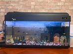 Ik verkoop een aquarium met alles wat erin, Ophalen, Zo goed als nieuw