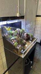 Aquarium paludarium garnalen, Dieren en Toebehoren, Ophalen of Verzenden, Zo goed als nieuw