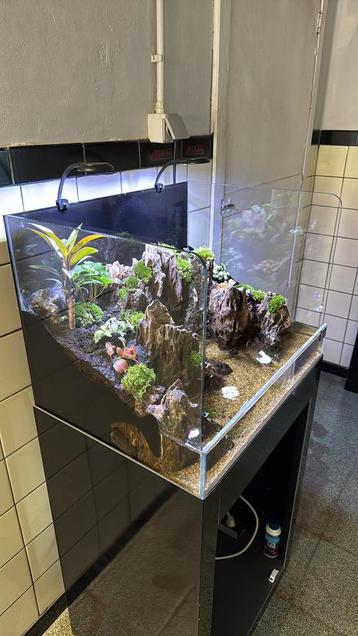 Aquarium paludarium garnalen, Enlèvement ou Envoi, Comme neuf