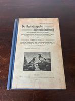 Duiven encyclopedie, Dieren en Toebehoren, Vogels | Duiven