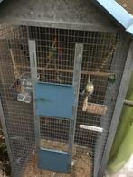 grande cage pour perruche calopsitte avec un calopsitte mâle, Dieren en Toebehoren, Vogels | Hokken en Kooien, Ophalen, Gebruikt