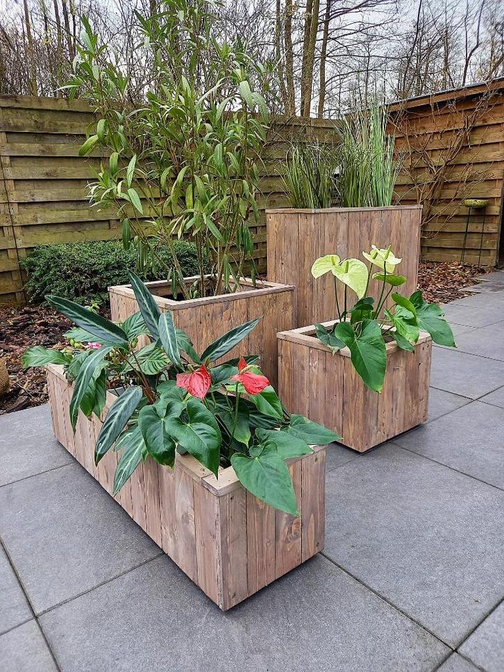 bloemen/planten bakken steigerhout look handgemaakt, Tuin en Terras, Bloembakken en Plantenbakken, Nieuw, Hout, Binnen, Balkon