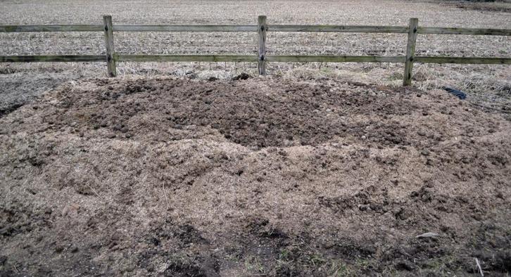 Paardenmest gratis te Schriek. Super kwaliteit !, Tuin en Terras, Aarde en Mest, Mest, Ophalen