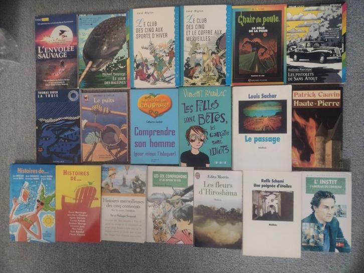 Lot de divers romans PRIX PLUS QUE SACRIFIE !, Boeken, Romans, Gelezen, Ophalen of Verzenden