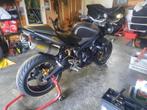 Triumph Street triple R 2009 (Sans CT), Motoren, 675 cc, 3 cilinders, Meer dan 35 kW, Sport