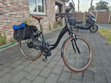 E-bike Riese & Muller Swing Blue Label beschikbaar voor biedingen