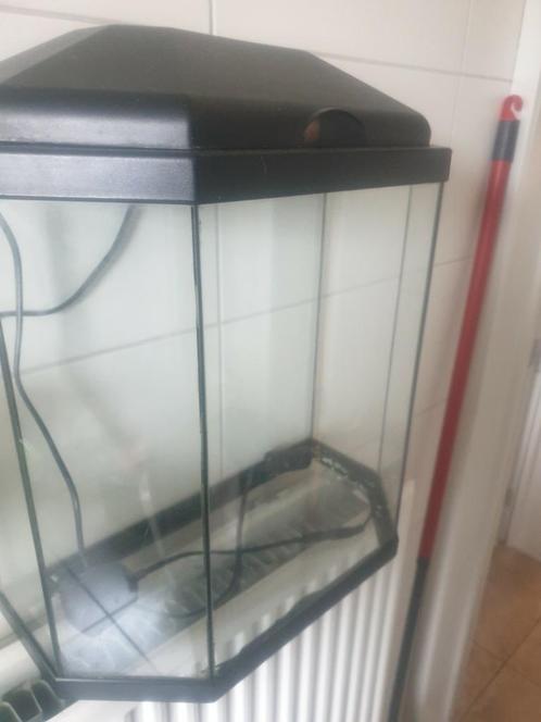 Te koop wegens verhuizing !!, Dieren en Toebehoren, Vissen | Aquaria en Toebehoren, Zo goed als nieuw, Ophalen