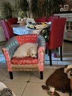 Maltezer kruising Reu 22 maand GERESERVEERD, Dieren en Toebehoren, België, Maltezer, Fokker | Hobbymatig, Reu