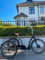 Easy Rider Proxy elektrische driewieler ondersteuning,, Fietsen en Brommers, Ophalen of Verzenden, Zo goed als nieuw