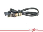 SONDE LAMBDA Ducati Monster 1200 R 2016-2019 (M1200), Utilisé