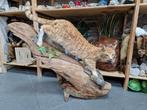 Zeer grote Opgezette kater met prooi, Verzamelen, Dierenverzamelingen, Ophalen, Zo goed als nieuw