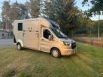 STX Ford Transit paardencamionet, Ophalen, Zo goed als nieuw, 2-paards trailer