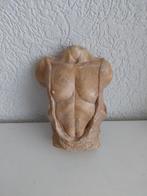 Torso, Enlèvement ou Envoi
