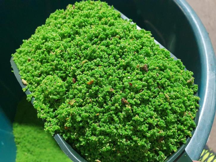 Verdure Rul Eivoer 1kg ( + Vitamine Complex ) Op Basis van, Dieren en Toebehoren, Vogels | Overige Vogels