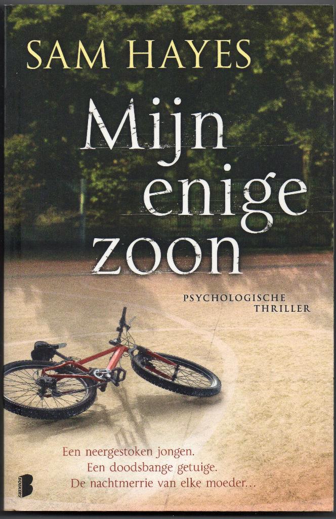 Samantha Hayes - Mijn enige zoon, Livres, Thrillers, Comme neuf, Pays-Bas, Enlèvement ou Envoi