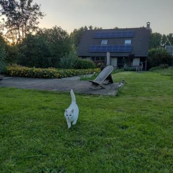 Gemeubeld huis te huur in de Vlaamse Ardennen