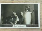 grappige oude postkaart 1944, Collections, Cartes postales | Animaux, Affranchie, Rongeur, 1940 à 1960, Enlèvement ou Envoi