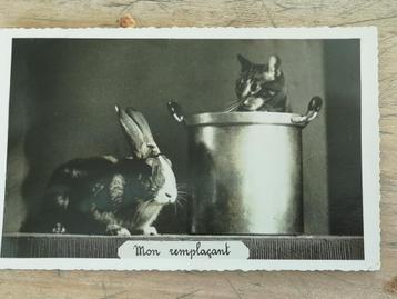 grappige oude postkaart 1944